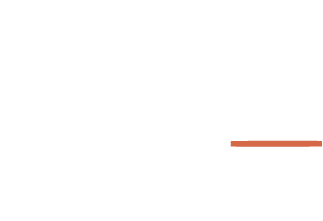 logo-idp-online-negativa