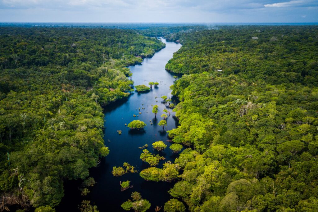 COP30: como se preparar e qual a sua importância para o país?