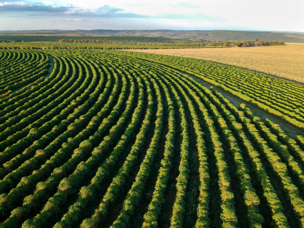 O que o mercado espera do advogado do agronegócio?