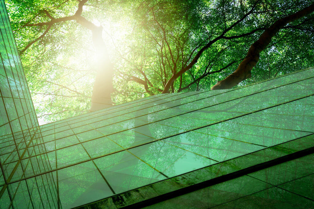Transição energética e financiamento verde: oportunidades para o setor público e privado