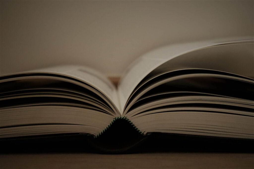 What are the principles of Civil Procedural Law?
